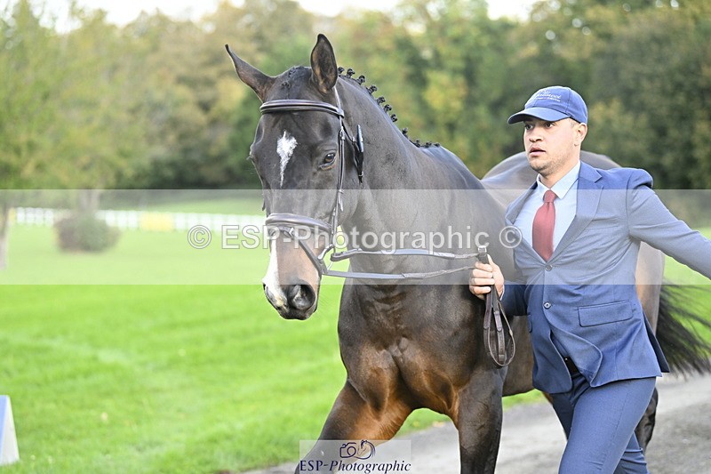 251025A-091237-17936 - A-016-Matteo.Gallucci