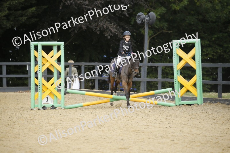 20250622-3640 - 50cm