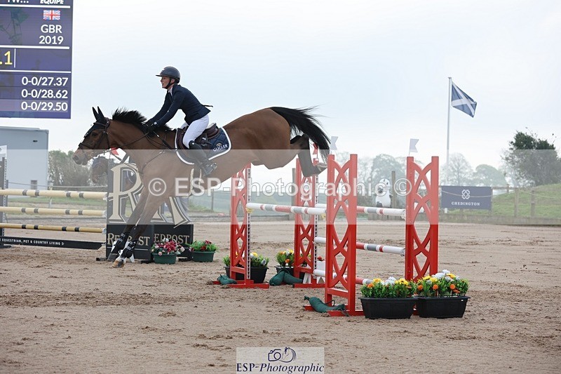 250424-091440-02649 - Cls 29 Young Horse 6yr old