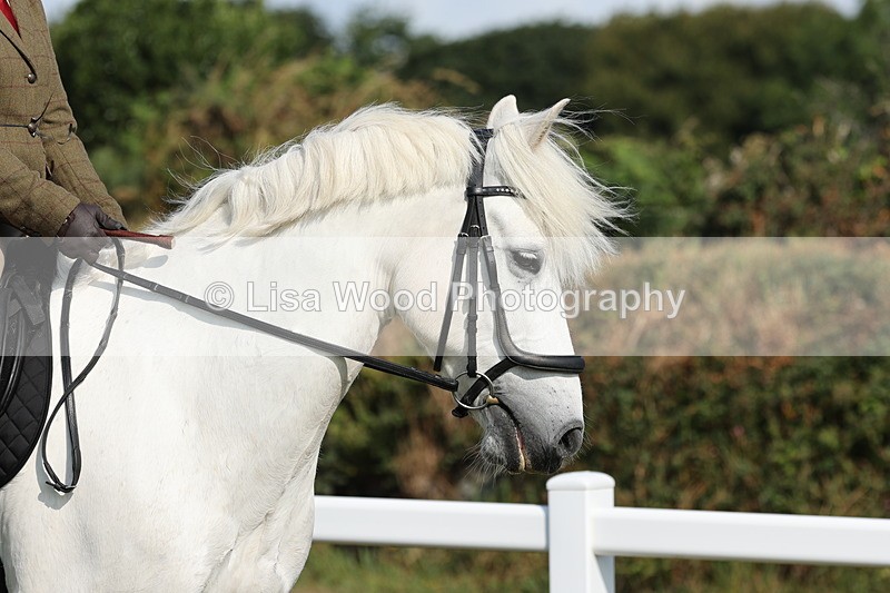 JPP_0622 - Class 16: Cornish Combination Young Rider