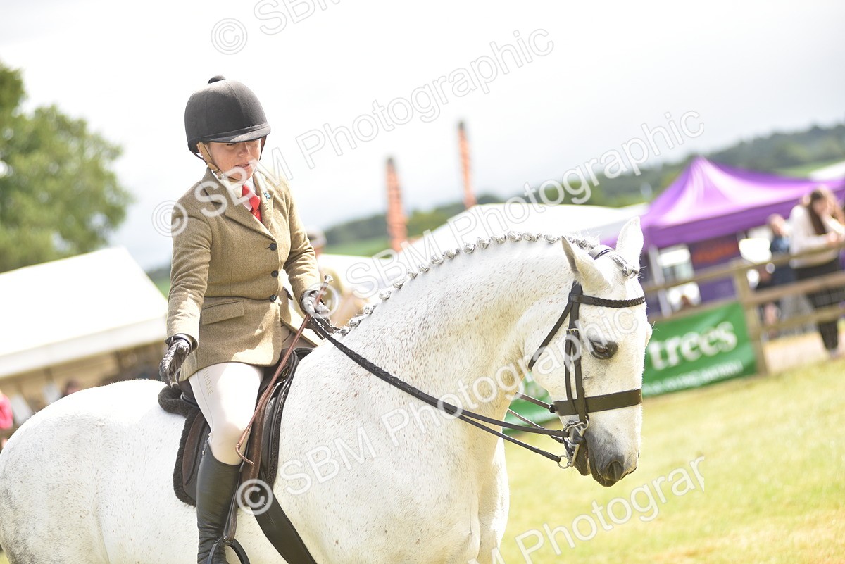 SBM_12143 - Class 110-112 - LIHS BSPS Performance Pones