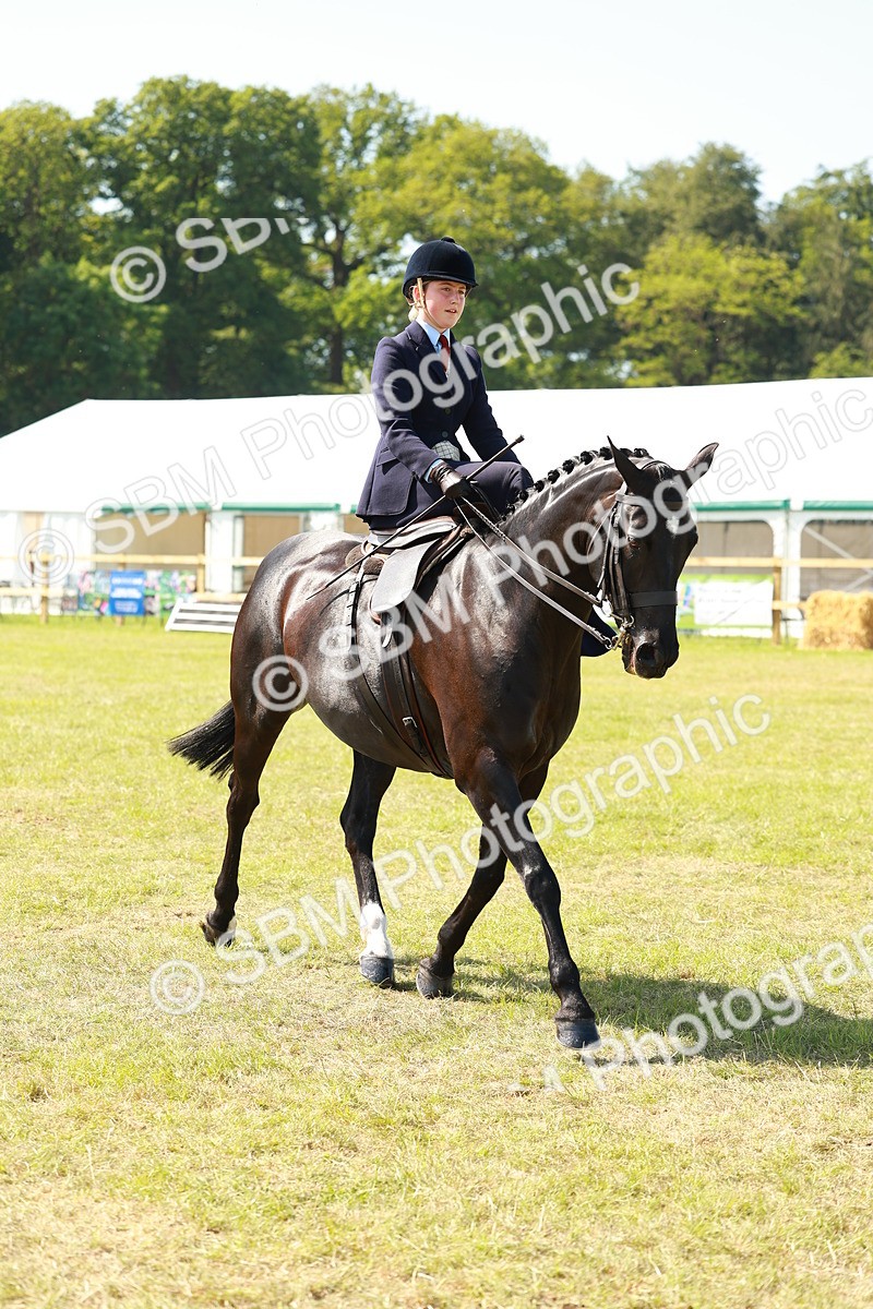 SBM_13219 - Class 70-71 - Side Saddle