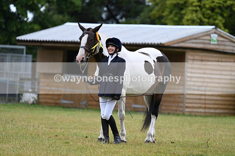 WJ7_6383 - Class 4a Prettiest Mare over 14hh