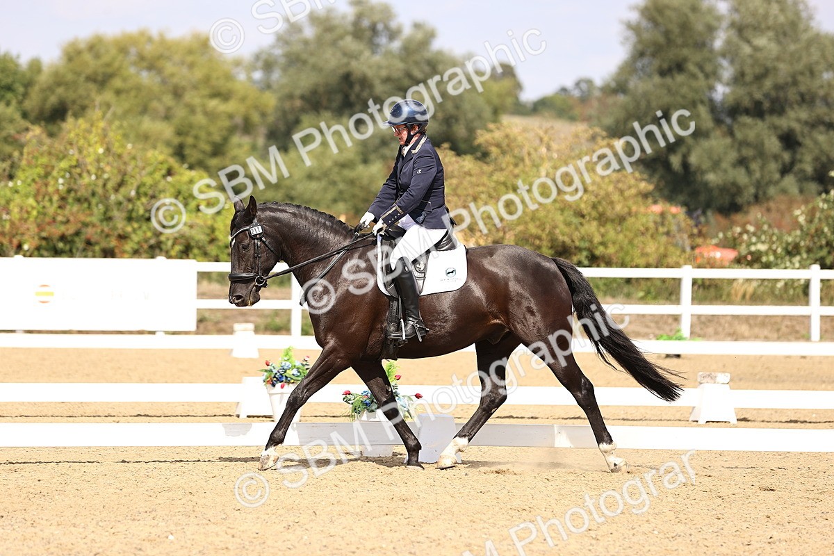 SBM_015038 - Class 6 - Elementary 5