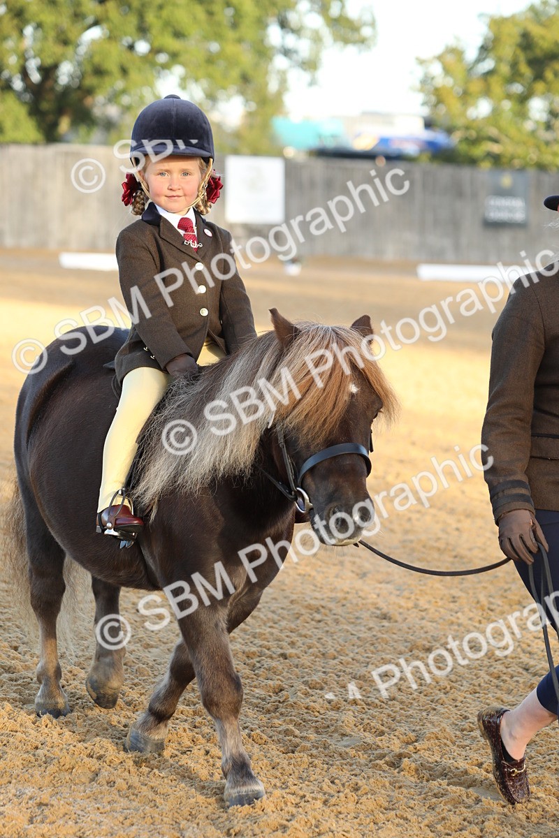 SBM_33528 - D26 - Starers - Lead Rein