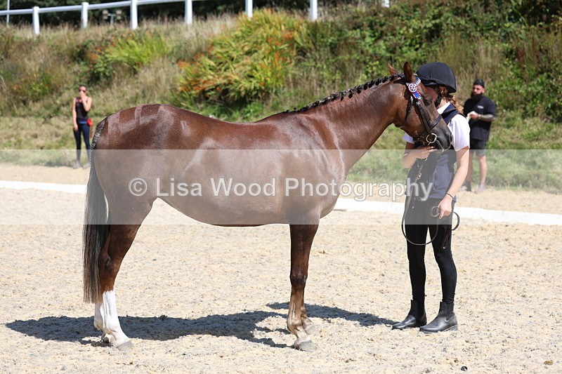 3E7A9690 - Class 32: Best Grass Kept