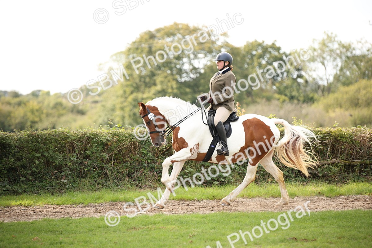 SBM_70401 - S66 - Hunter Ridden