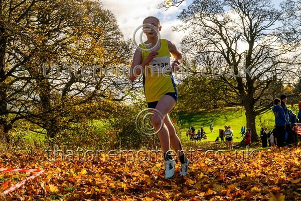 NatRel25-813709 - Young Female Set One