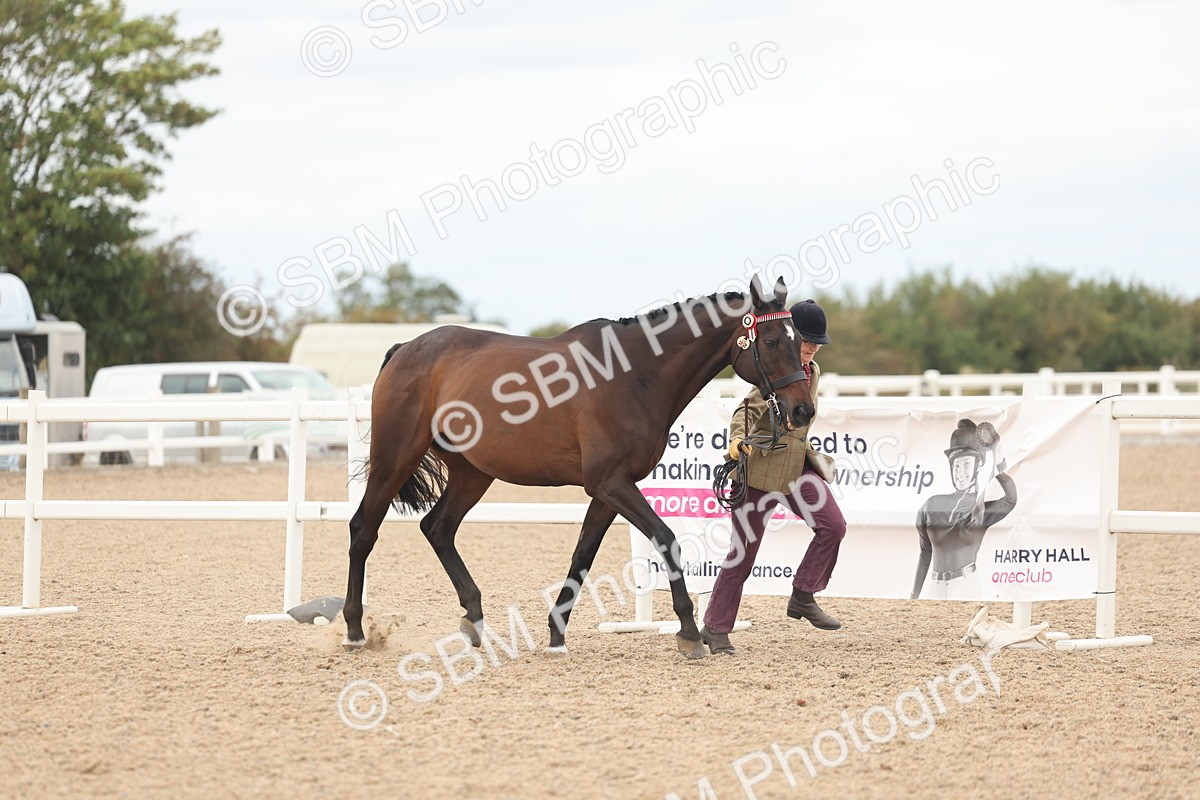 SBM_17052 - Class 313 - IH Retired Racehorse