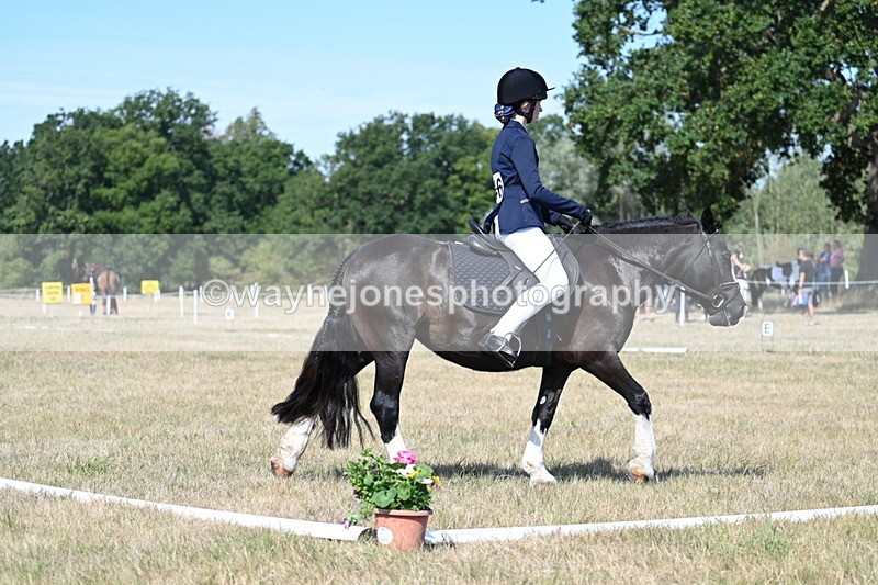 WJ7_0215 - Time 11:03 to 11:28