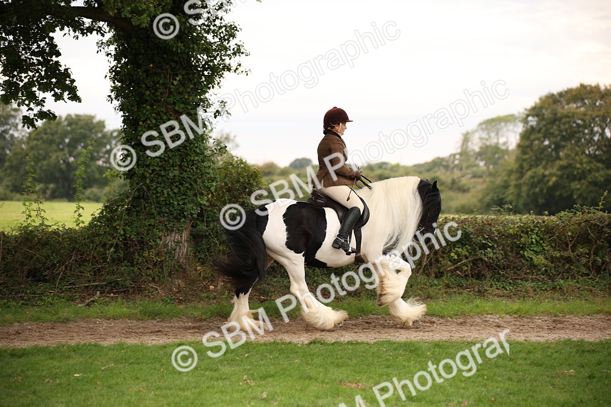 SBM_73450 - S68 - Traditional Cob Ridden