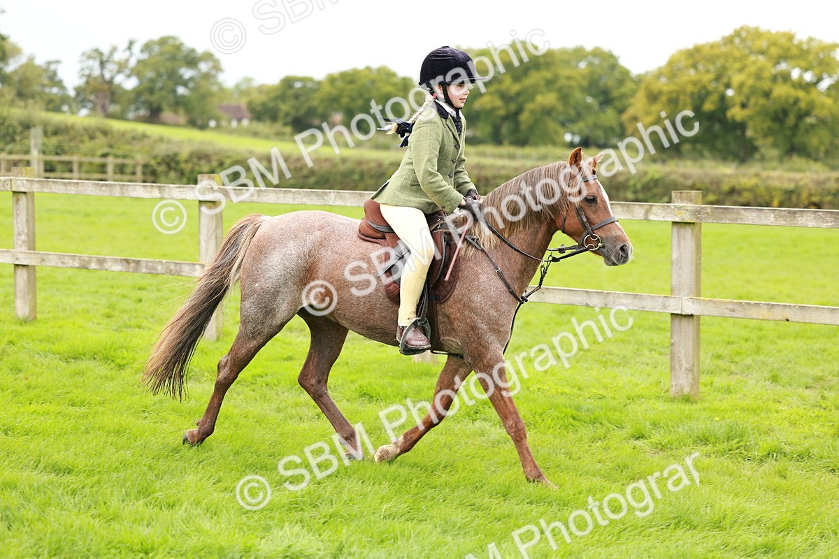 SBM_41784 - S32 - Mountain & Moorland Working Hunter Pony