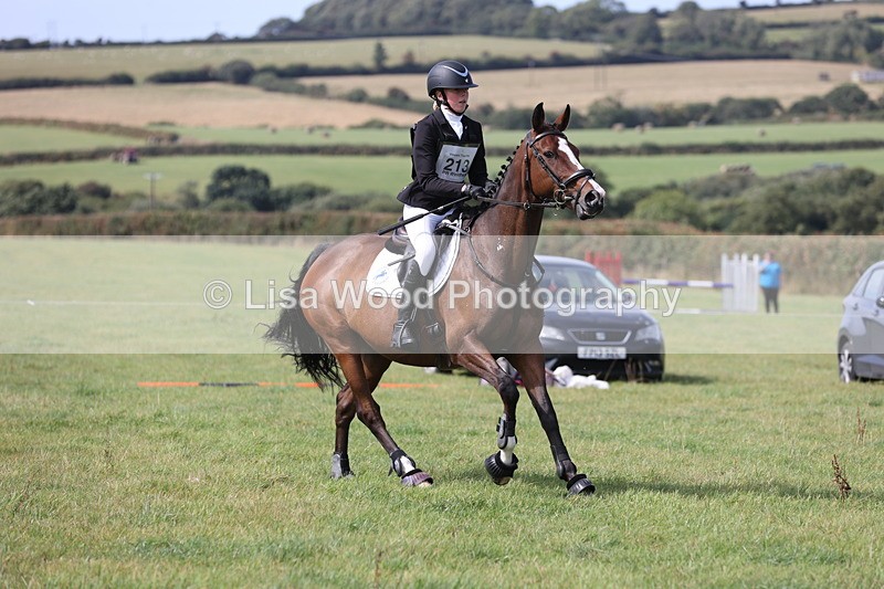 JPP_8852 - Class 2: Trekenning: 80cm Showjumping