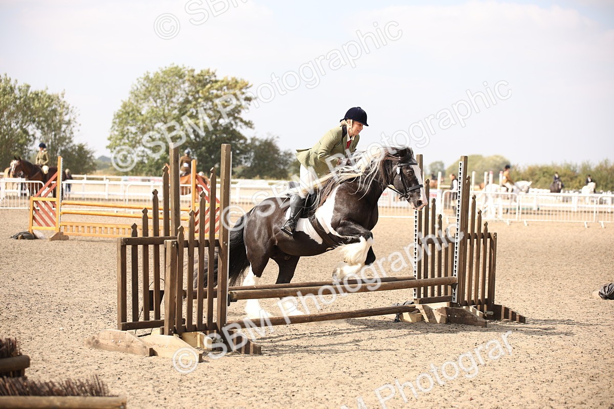 SBM_14339 - Class 407b - Working Veteran 60cm (20+)