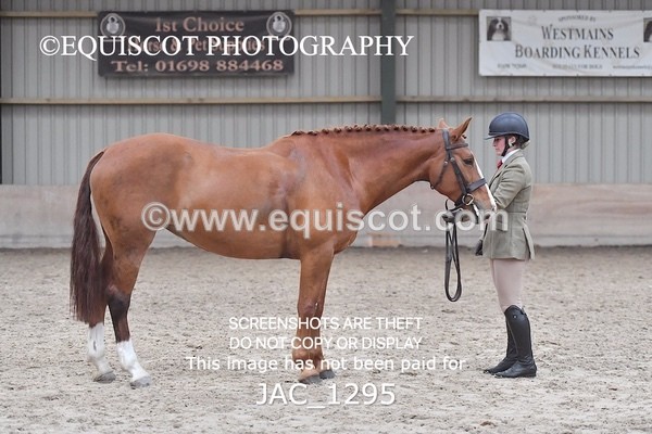 JAC_1295 - CLASS 8 BHS Scotland Riding Club Working Hunter Qualifier (1.00m)