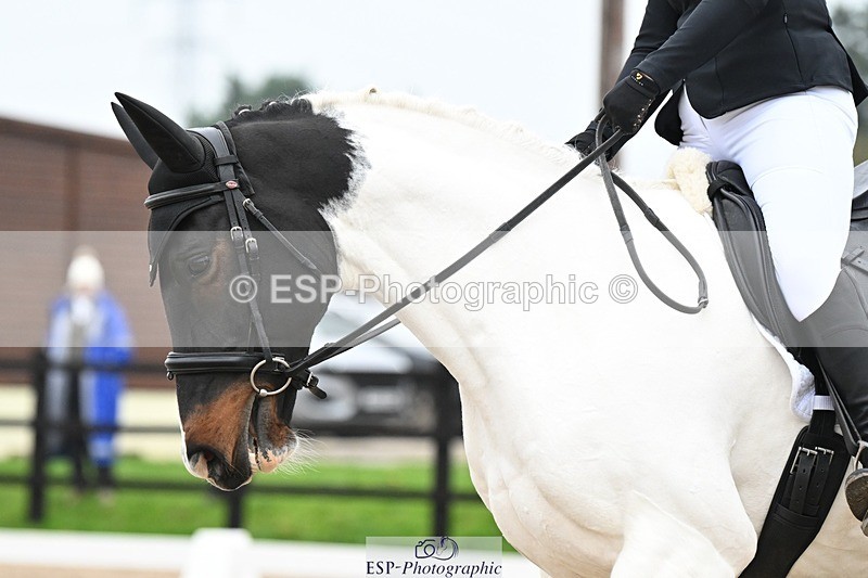 241103-105700-00400 - Intro 3 - 10.50 to 11.44