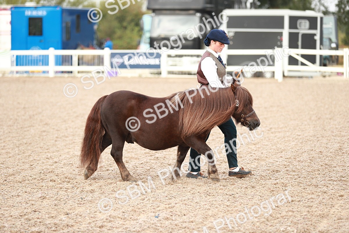 SBM_09475 - Class 201 Best Turned Out IH