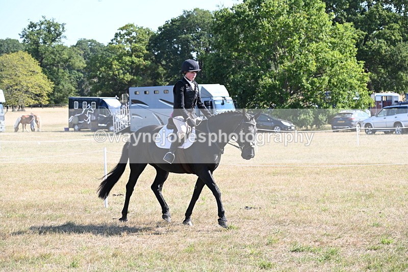 WJ6_7519 - Class 34 Judges Choice