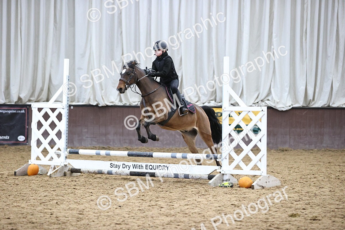 SBM_001401 - Class 3 - Horse & Hound 60cm