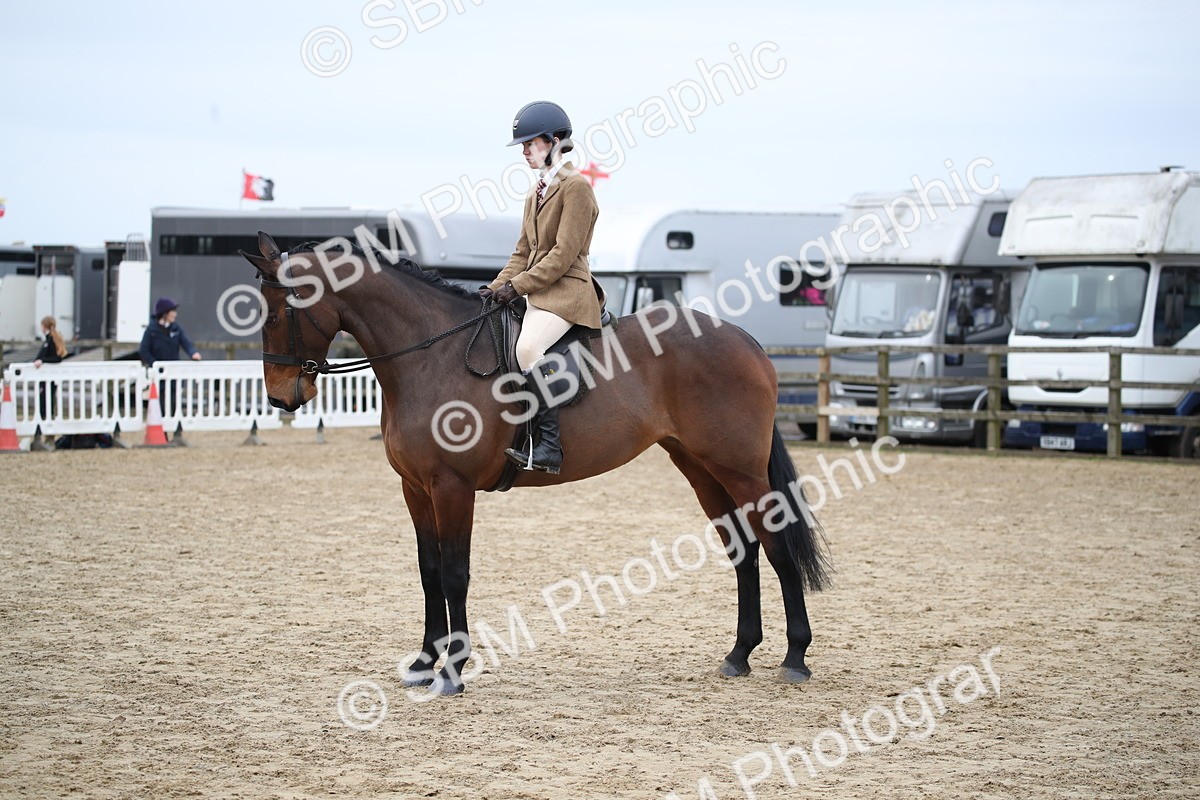 SBM_004764 - Class 5-9 - NPS In Hand-Show Hunter-Intermediate Ridden Inc Ridden Championship