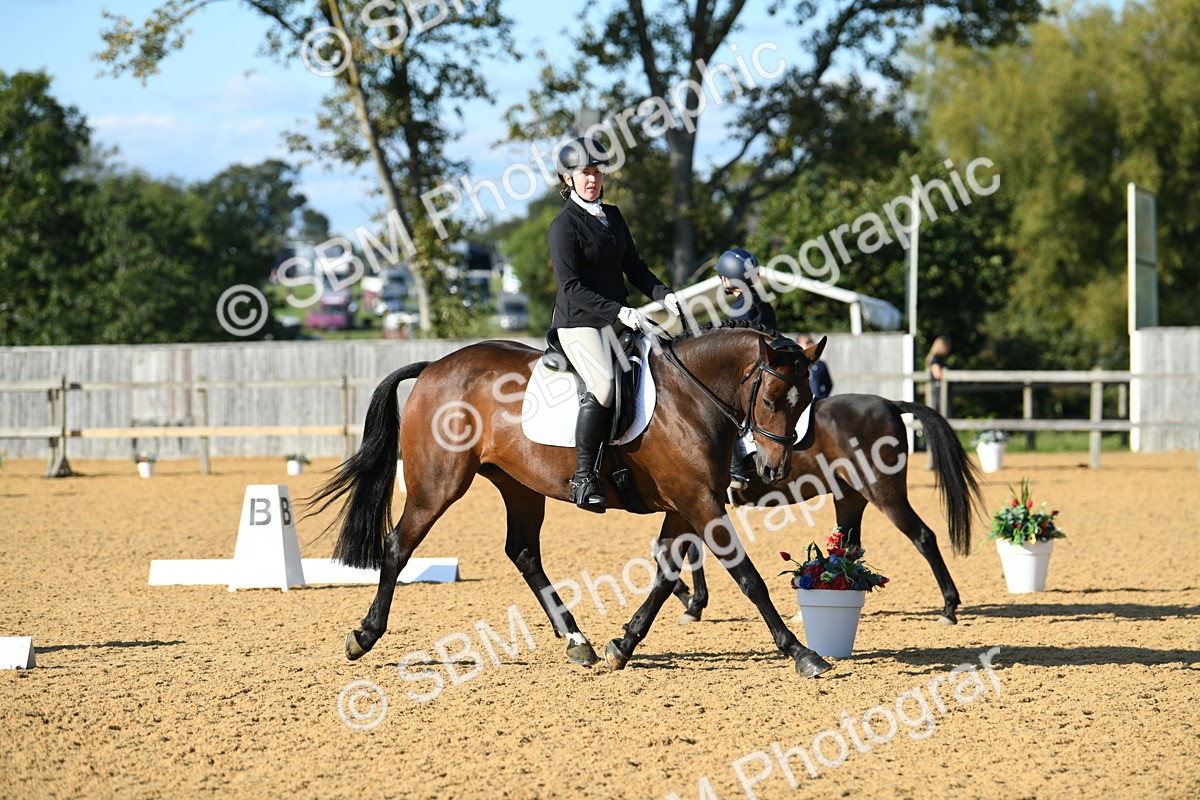 SBM_28419 - D16 - Small Tour Championship - Novice 28