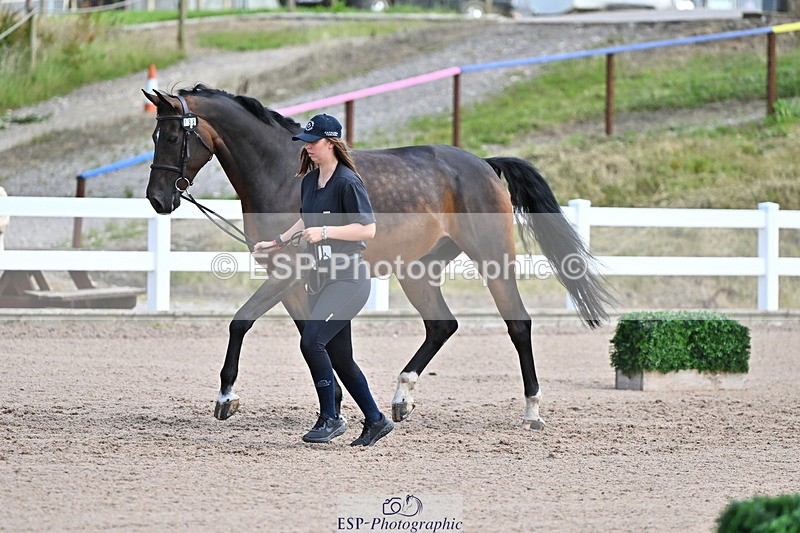 240718A-105252-01265 - Trot Up 12pm to 1pm
