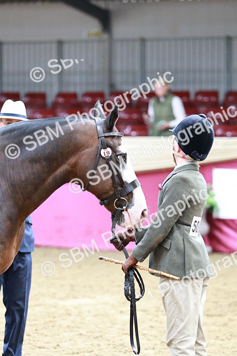 SBM_01256 - Class 3A - Area IH Pre-Vet
