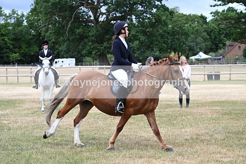 WJ7_0559 - Class 2 Best rider