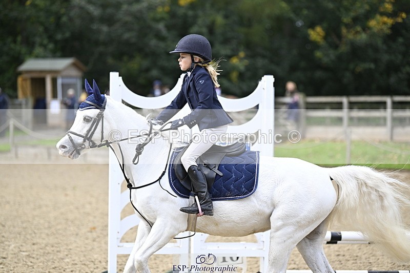 251005A-091215-02989 - Cls 02 GR 50cm