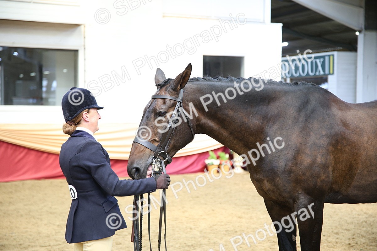 SBM_24261 - Class 905 - Supreme Final - Ridden Veteran