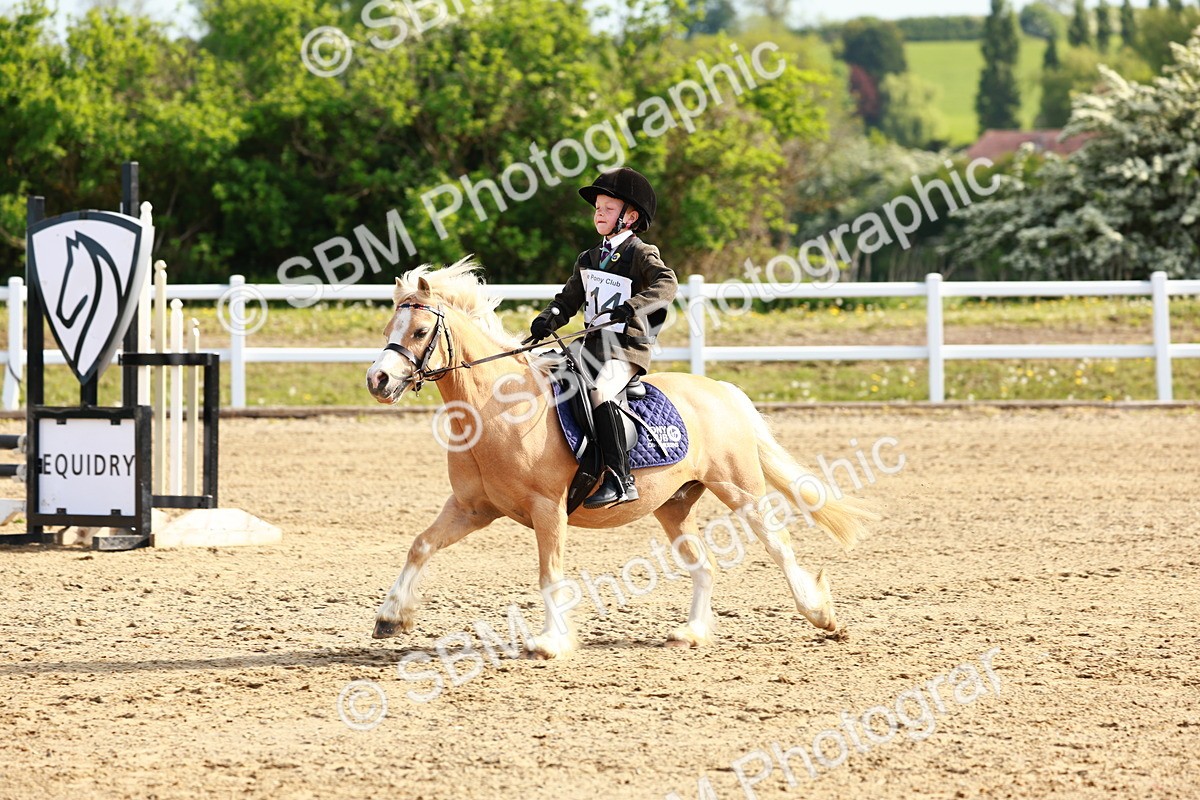 SBM_006381 - Class 1 - 40cm