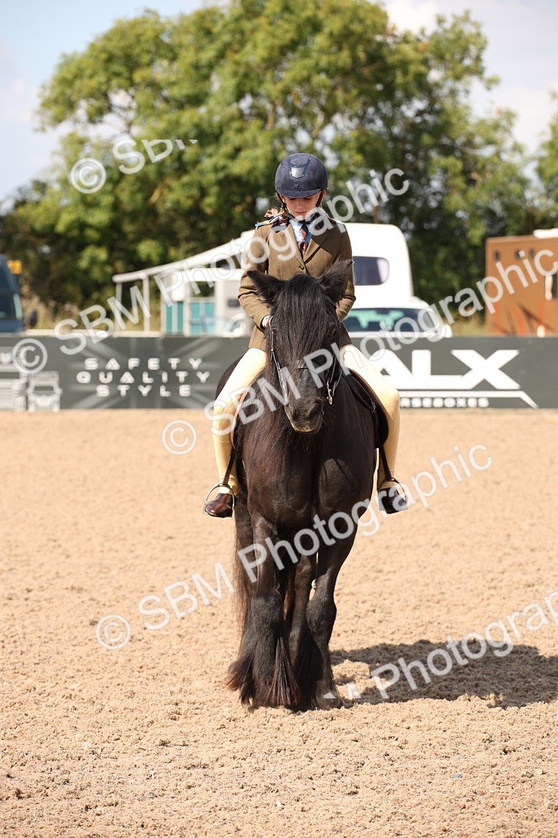 SBM_03401 - Class 18 Handsomest Gelding (IH or Ridden)