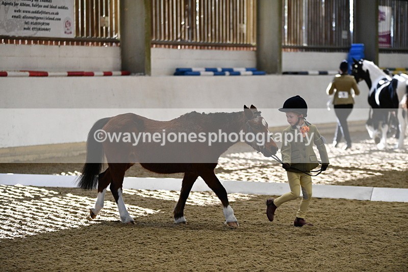 WJ5_3764 - Class 5 In Hand Veterans