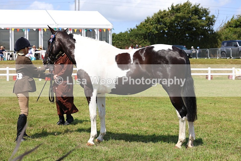 3E7A1214 - Class 8: Open Riding Horse/Hack