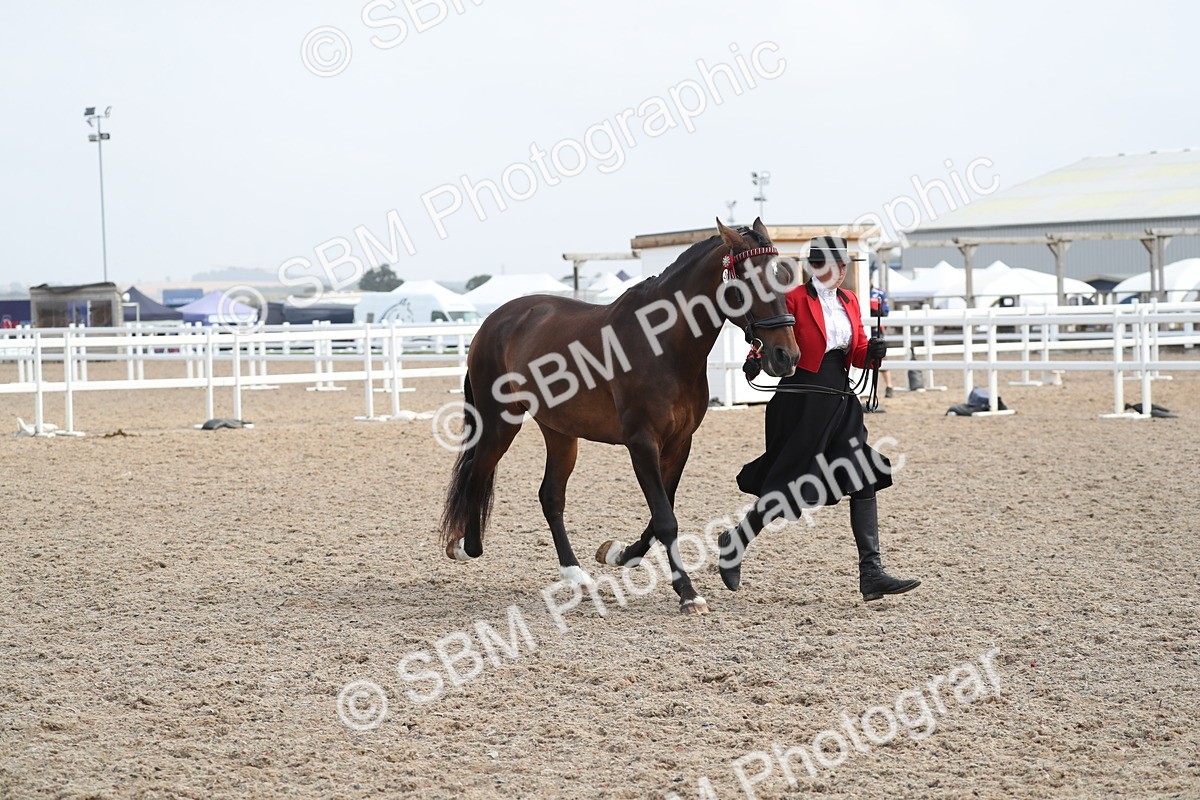 SBM_23120 - Class 605 - 2025 Area - IH Veteran