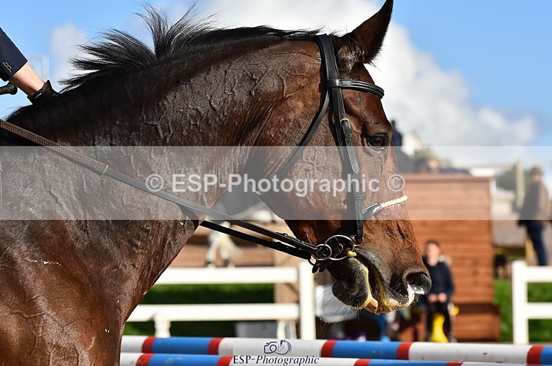 231014A-154502-06110 - Cls 16 1.10m Grand Prix