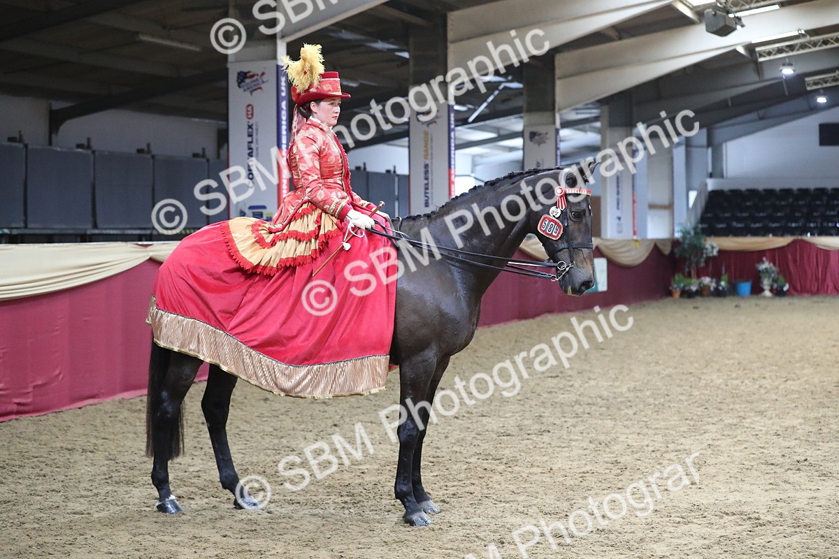 SBM_12169 - Class 107 Ridden Costume- Astride Adult (20+)