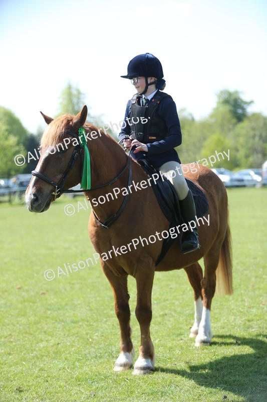 20250427-1838 - Class 2 - Mini Jumping 30cm