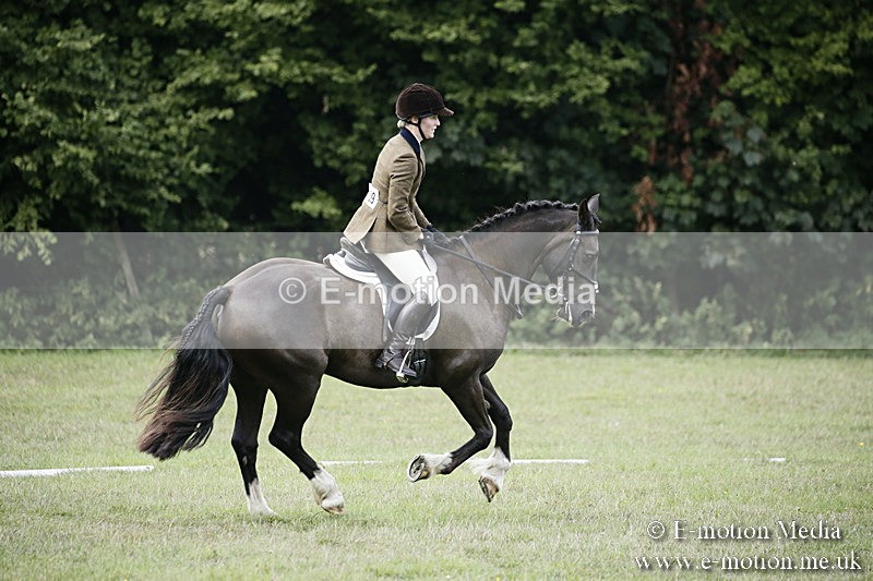 BVR090918 287 - BVRC Dressage and Show Jumping 09/09/18