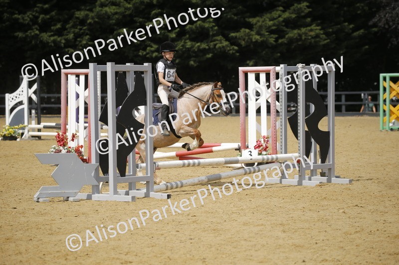 20250622-4071 - 50cm