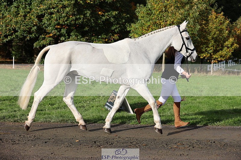 251026A-100904-22762 - G-515-Jessica.Saunders