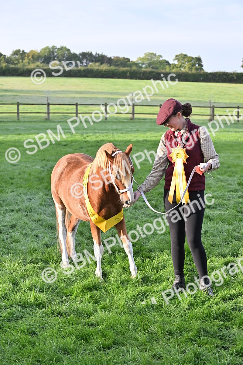 SBM_54630 - S44 - Youngstock In Hand