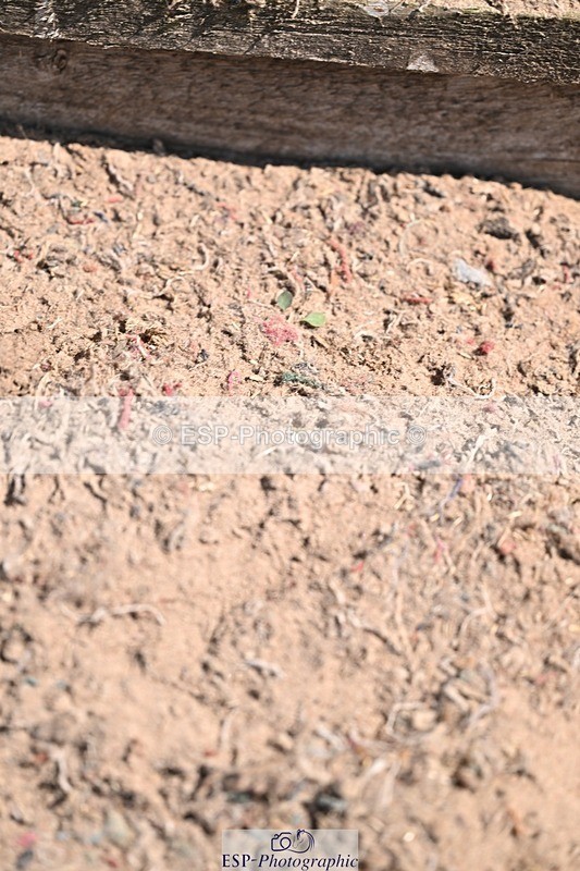 250817-135910-10153 - Sunday 2pm Presentations