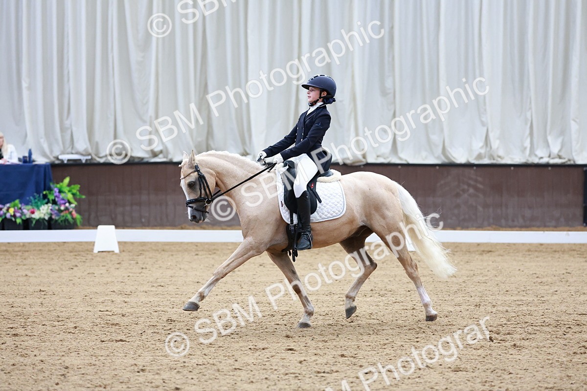 SBM_017388 - Class15 - FEI Pony