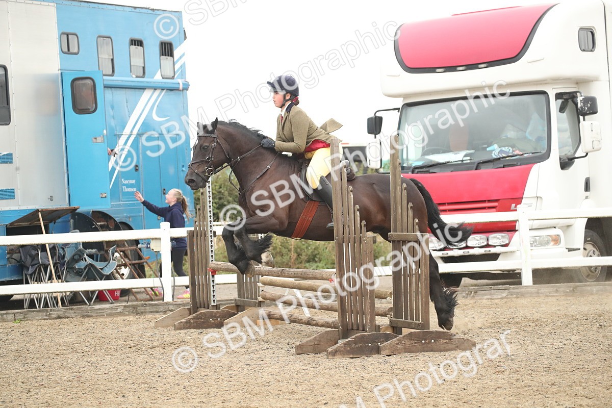 SBM_18358 - Class 509B - Working Veteran - 80cm (20+)