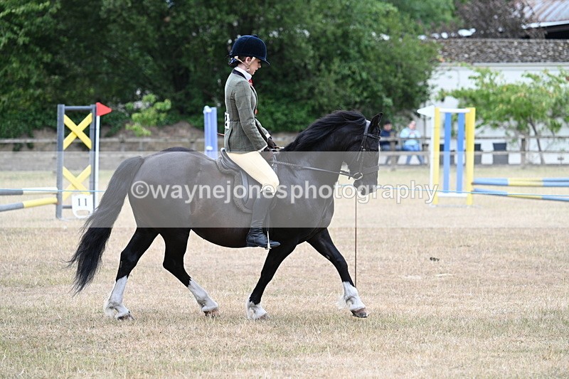WJ7_0480 - Class 6 Ridden Mountain and Moorland