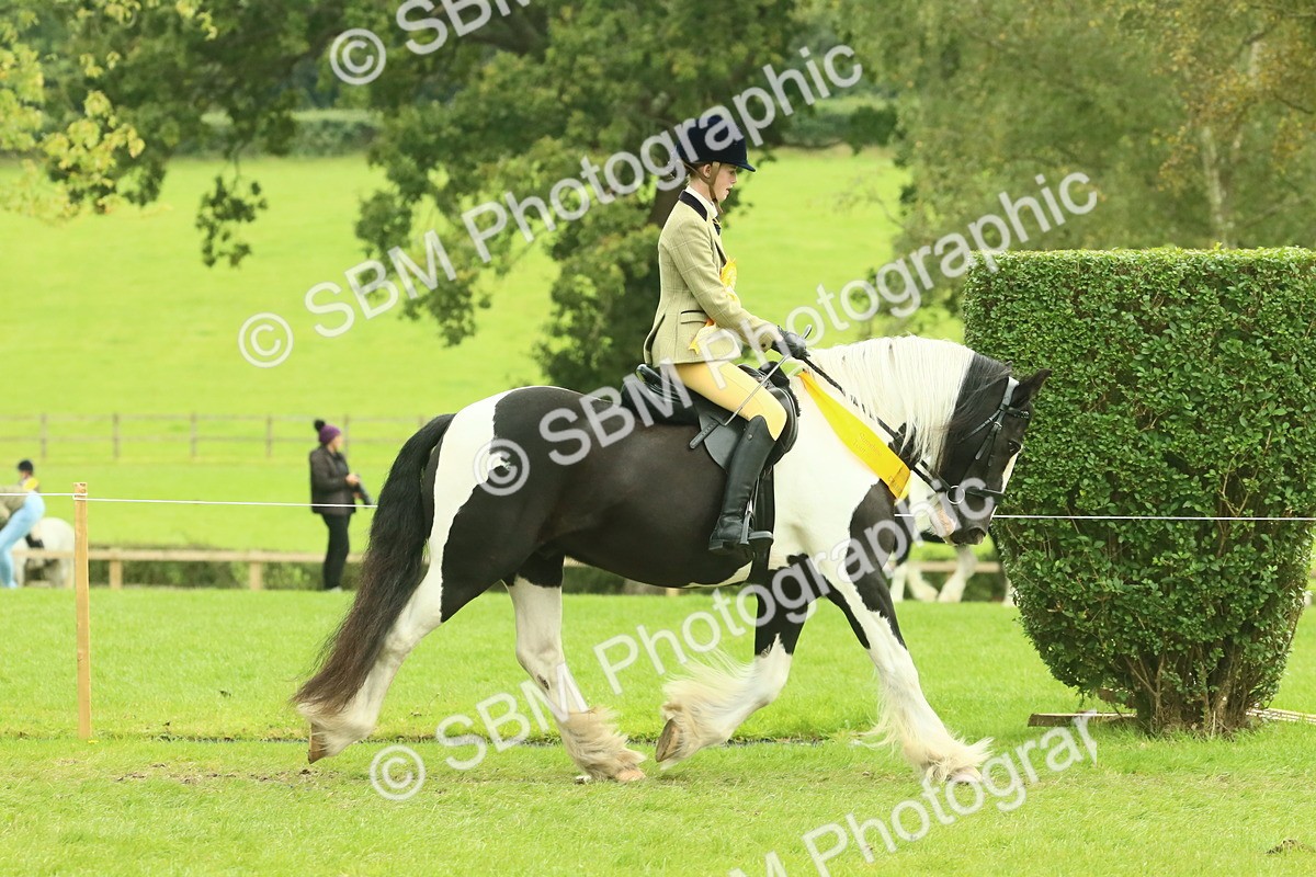 SBM_75005 - Ridden Pony Supreme Championship