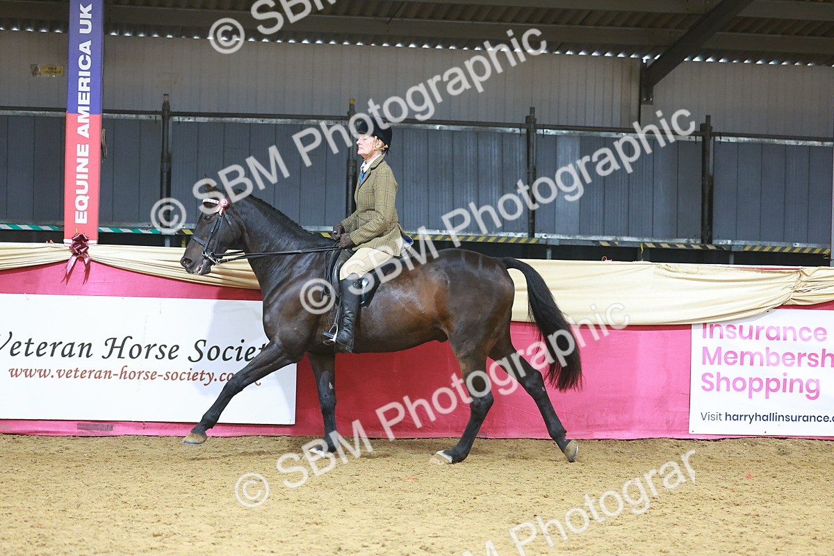 SBM_09662 - Class 102 - HOYS Veteran Qualifier - Ridden Veteran