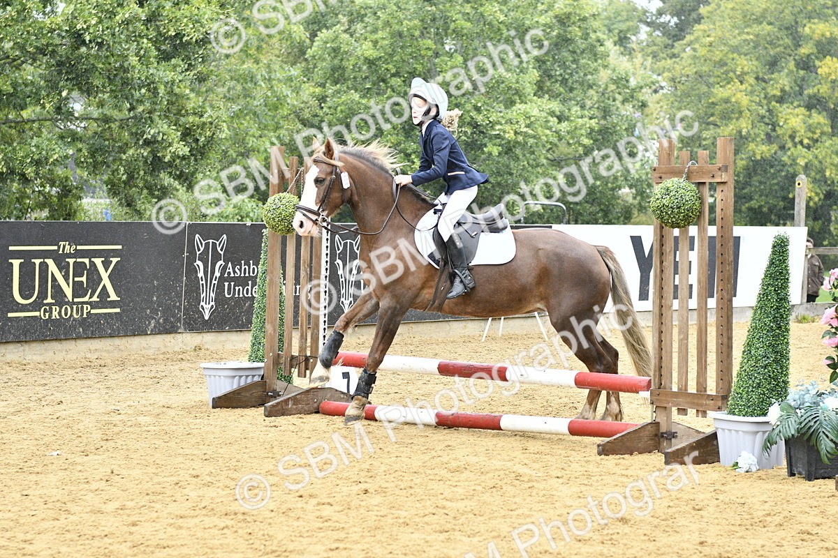 SBM_70890 - J3 - Mini Tour Junior Pony 40cm championship
