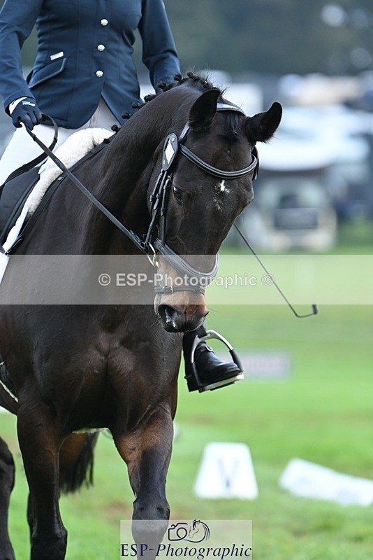 231020-094851-05771 - 465-LANGALLER.ALPHA.BRAVO-Cheryl.Beer-DR